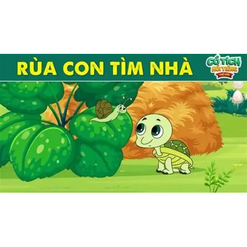 Rùa con tìm nhà